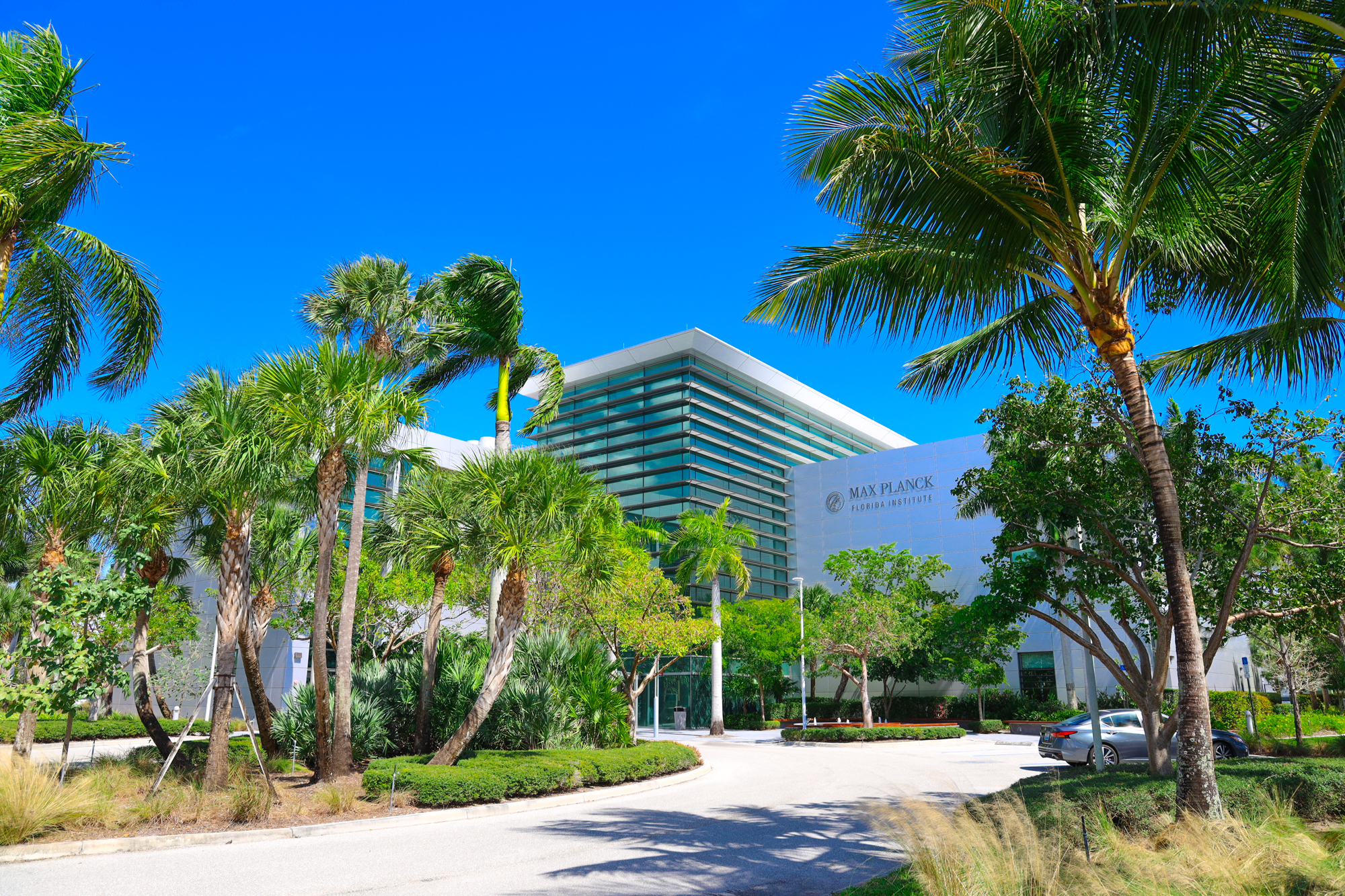 Town Center at Boca Raton  Boca Raton, FL - Caulfield & Wheeler Inc.